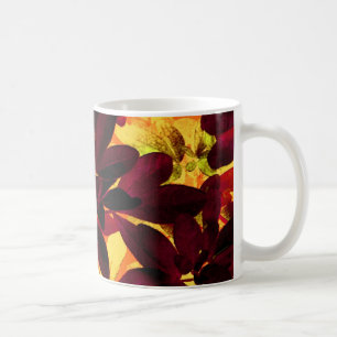 Choisya Herbst zweifarbige Tasse
