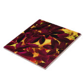 Choisya Herbstplatte Keramik Fliese (Seite)