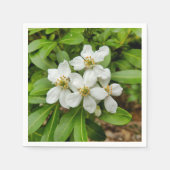 Choisya Ternata Paper Napkins Serviette (Vorderseite)