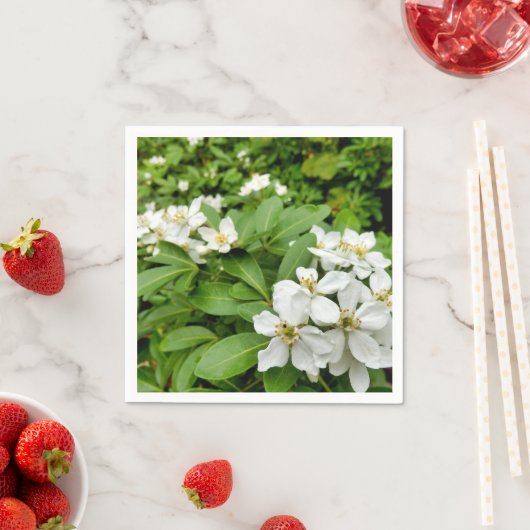 Choisya Ternata Paper Napkins Serviette (Beispiel)