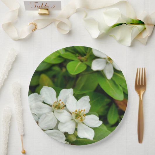 Choisya Ternata Papierplatte Pappteller (Hochzeit)