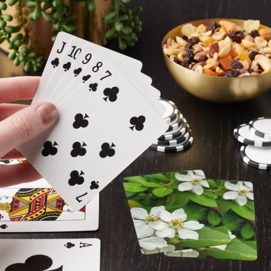 Choisya Ternata Spielkarten (In Situ)