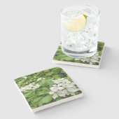 Choisya Ternata Steinuntersetzer (Seitenansicht)