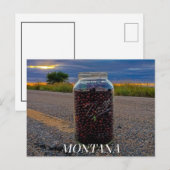 ChokeCherry Sommer  Postkarte (Vorne/Hinten)