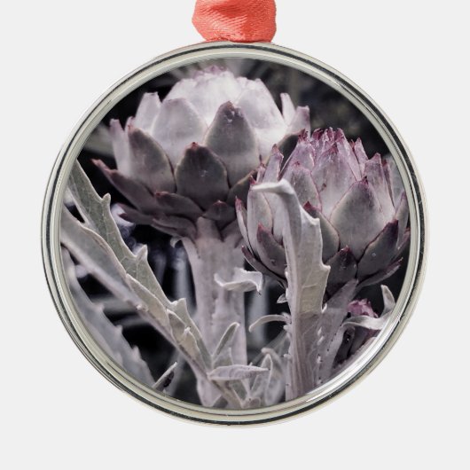 CHOKES.jpg Silbernes Ornament (Vorne)