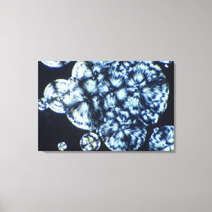 Cholesterin-Kristalle angesehen in polarisiertem Leinwanddruck