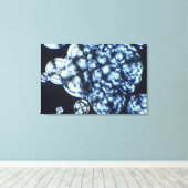 Cholesterinkristalle in Polarisiertem Licht Leinwanddruck (Insitu (Holzboden))