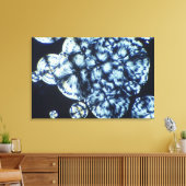 Cholesterinkristalle in Polarisiertem Licht Leinwanddruck (Insitu (Wohnzimmer))
