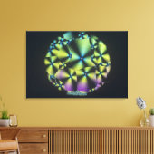 Cholesterol Crystals Leinwanddruck (Insitu (Wohnzimmer))