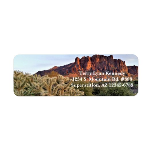 Cholla Cactus and Superstition Mountain / Arizona (Vorne)
