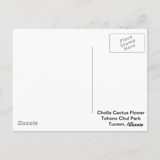Cholla Cactus blooming Postkarte (Rückseite)