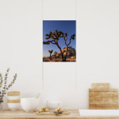 Cholla cactus Cap Rock , Joshua Tree Poster (Küche)