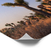 Cholla cactus Cap Rock , Joshua Tree Poster (Ecke)