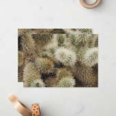 Cholla Cactus Foto Mitteilungskarte (Vorderseite/Rückseite Beispiel)