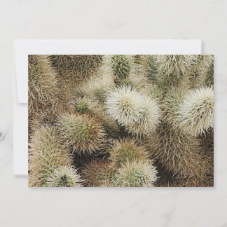 Cholla Cactus Foto Mitteilungskarte
