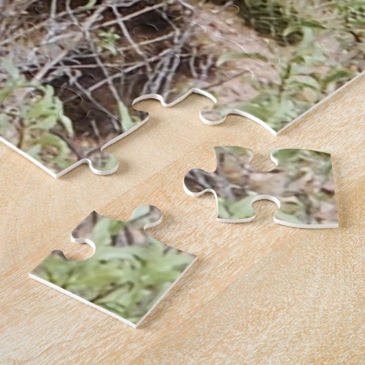 Cholla Cactus Foto Puzzle (Seite)