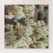 Cholla Cactus Foto Puzzle (Horizontal)