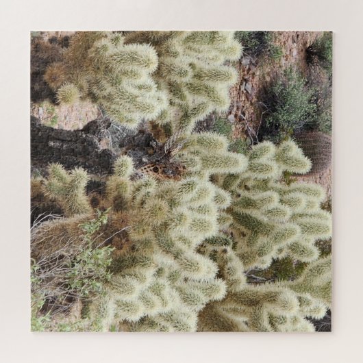 Cholla Cactus Foto Puzzle (Horizontal)