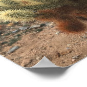 Cholla Cactus Joshua Tree Park Foto Poster (Ecke)