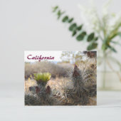 Cholla Cactus & Landscape Postkarte (Stehend Vorderseite)