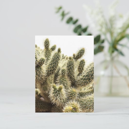 Cholla Cactus Postkarte (Stehend Vorderseite)