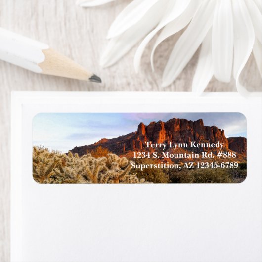 Cholla Cactus Superstition (Insitu)