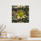 Cholla Desert Blume Bloom Poster (Küche)