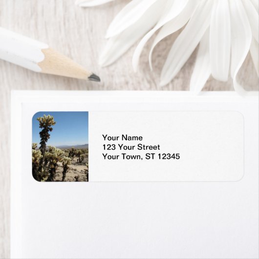 Cholla Garden - Joshua Tree (Insitu)