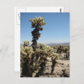 Cholla Garden - Joshua Tree Postkarte (Vorne/Hinten)