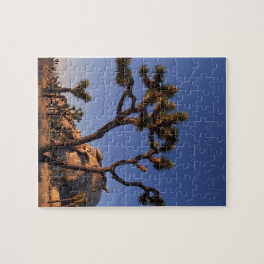 Cholla Kaktus und Kappe schaukeln, Joshua-Baum Puzzle (Horizontal)