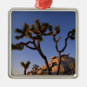 Cholla Kaktus und Kappe schaukeln, Joshua-Baum Silbernes Ornament