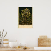 Cholla-Kaktus – Vintage-Botanikillustration Poster (Küche)