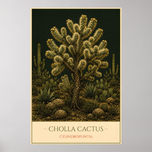 Cholla-Kaktus – Vintage-Botanikillustration Poster (Vorne)