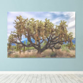 Cholla Leinwanddruck (Insitu (Holzboden))