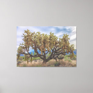 Cholla Leinwanddruck