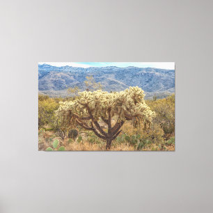 Cholla Leinwanddruck