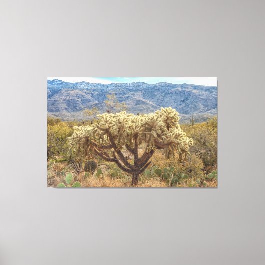 Cholla Leinwanddruck (Vorderseite)