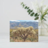 Cholla mit Ketten in der Sonoran-Wüste Postkarte (Stehend Vorderseite)