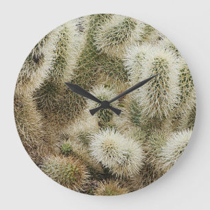 Cholla Springing Cactus Foto Große Wanduhr