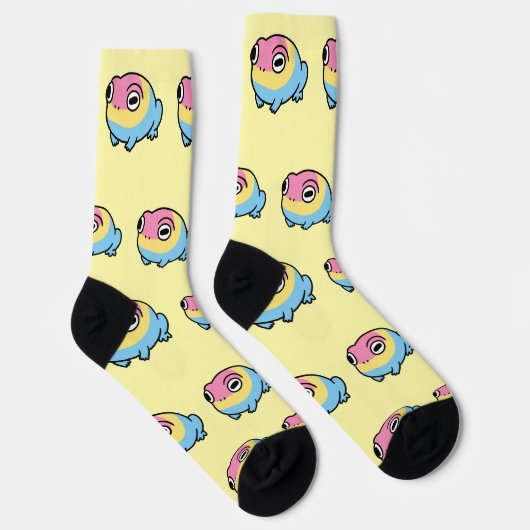 Chonky Pansexual Frog Pride Socks | Cute Pan Pride Socken (Rechts)