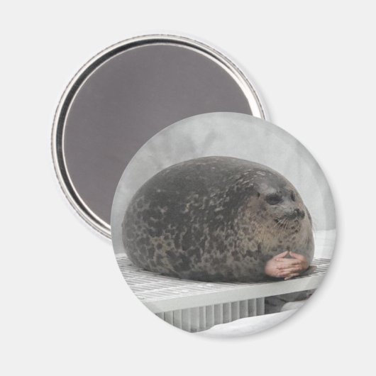 Chonky Siegel Magnet (Vorderseite/Rückseite)