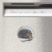 Chonky Siegel Magnet (In Situ (Geschirrspüler))