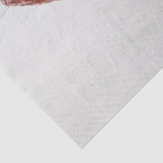 Chorizo Sausage Seidenpapier (Ausschnitt)