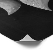 Chorus Girls Poster Print - 1706502.jpg (Ecke)