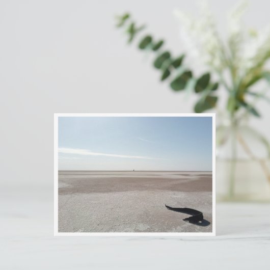 Chott el Djerid (Tunesien) Postkarte (Stehend Vorderseite)