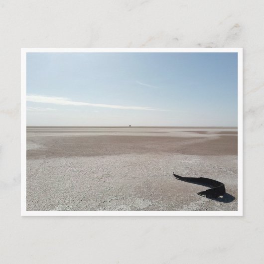 Chott el Djerid (Tunesien) Postkarte (Vorderseite)