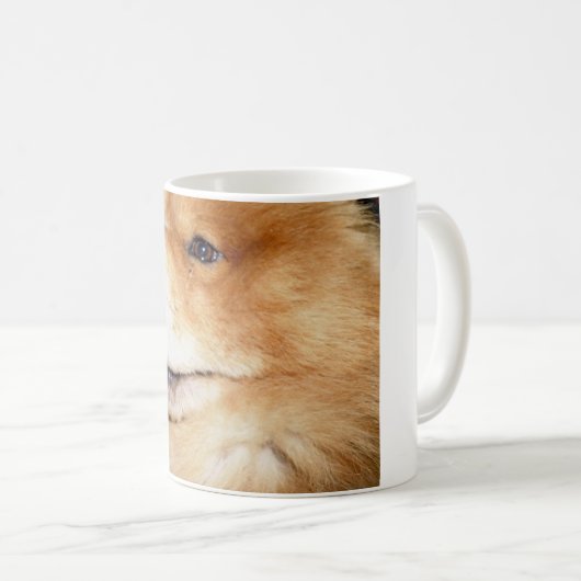 Chow1e Kaffeetasse (VorderseiteRechts)