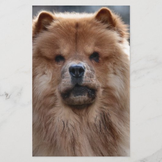 Chow Briefpapier (Vorderseite)