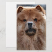 Chow Briefpapier (Vorne/Hinten)