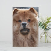 Chow Briefpapier (Stehend Vorderseite)